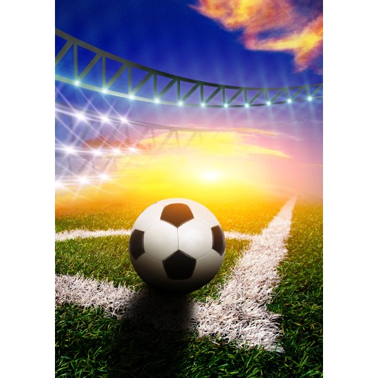 ENKLA KORT FOTOGRAFISKA FOTBOLL