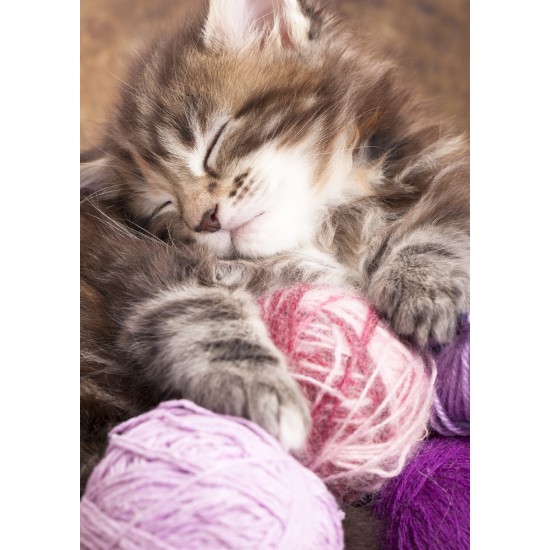 ENKLA KORT FOTOGRAFISKA KATT M NYSTAN ENKLA KORT FOTOGRAFISKA KATT M NYSTAN