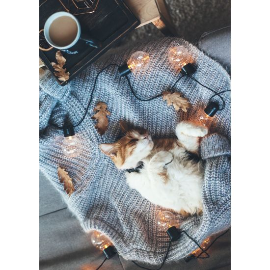 ENKLA KORT FOTOGRAFISKA ENKLA KORT FOTOGRAFISKA