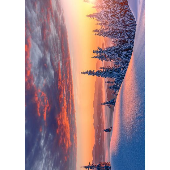 ENKLA KORT FOTOGRAFISKA ENKLA KORT FOTOGRAFISKA